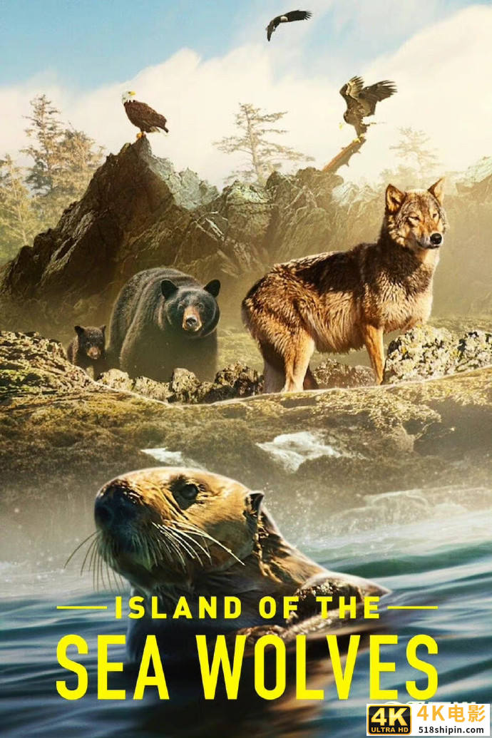 纪录片《海狼之岛全3集》蓝光1080P|4K高清BT迅雷下载