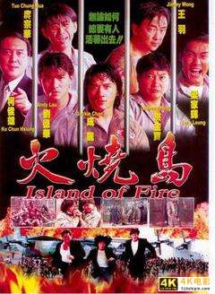 香港经典电影《火烧岛(1991)》1080P磁力链接免费下载
